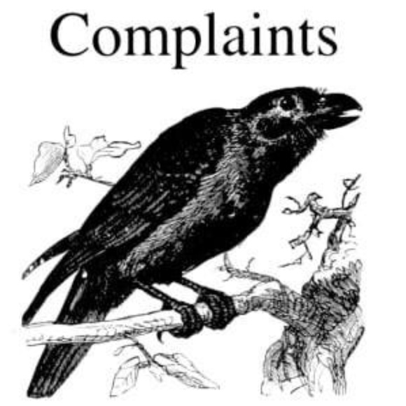 Meet your Posher, Josefina - Picture 1 of 1